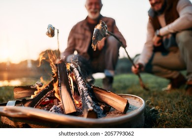 Close-up of man and his senior father grilling fish over bonfire while camping together. - Powered by Shutterstock