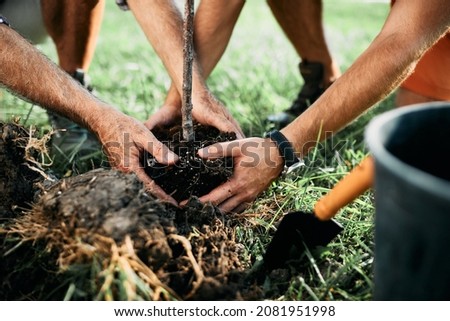 Close-up of man and his senior father planting tree together in the garden.
