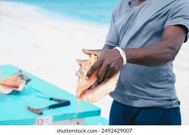 Close-up of a man holding a conch shell on a beach, with tools on a turquoise table and the ocean in the background, showcasing a beachside activity. - Powered by Shutterstock