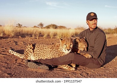 Close-up of man hugging and cuddling two Cheetahs in Namibia. Rescued Cheetah in sanctuary gently held by one guy with yellow grass in the background. Wildlife and animal love.