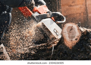 Close-up of a man sawing a tree with a chainsaw with flying sawdust - Powered by Shutterstock