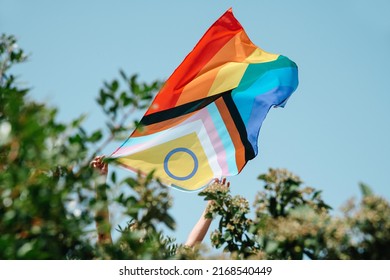 Nahaufnahme eines Mannes, der eine intersexuell inklusive Fortschrittsstempelflagge zeigt, die sich aus dem Busch herausguckt – Stockfoto