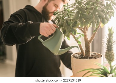 Close-up man watering succulent houseplant by watering can at home - housework and care plant concept - Powered by Shutterstock