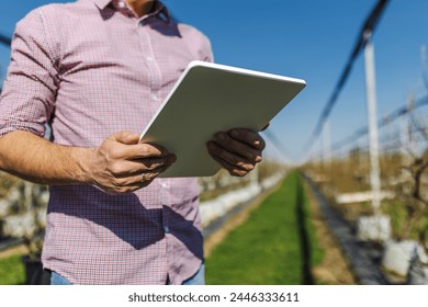 A close-up of a man wearing a pink checkered shirt holding a tablet in a modern blueberry farm with young plants - Powered by Shutterstock