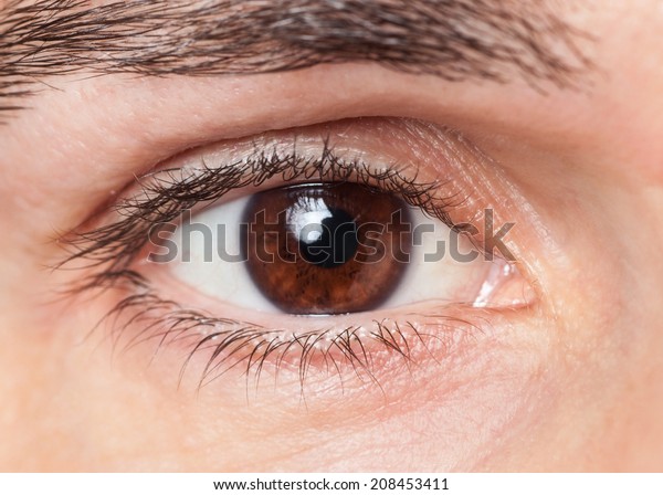 Closeup Mans Eye Stock Photo 208453411 | Shutterstock