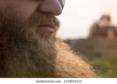 Royalty Free Thick Beard Stock Images Photos Vectors Shutterstock