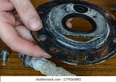 Close-up Of A Man's Hands Showing A Torn Rubber Gasket For A Water Heater. Repair And Maintenance Services For Home Appliances. Eye Level Shooting. Selective Focus.