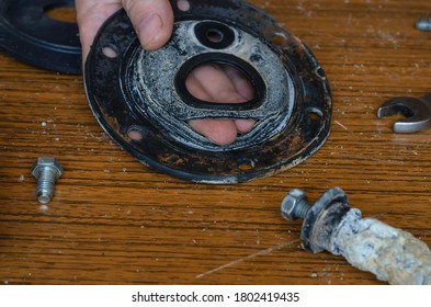 Close-up Of A Man's Hands Showing A Torn Rubber Gasket For A Water Heater. Repair And Maintenance Services For Home Appliances. Eye Level Shooting. Selective Focus.