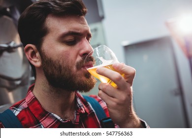 Close-up Of Manufacturer Tasting Beer At Brewery