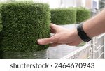 Close-up of many artificial turf rolls on the market and a male hand tries one on the touch