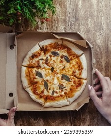 Close-up Of Margarita Pizza In A Disposable Dish. Top View Of Takeaway Food In A Fast Food Cafe. On Photo - Mozzarella Cheese, Tomatoes, And Red Basil. The Classic Recipe. Food For Family And Friends.