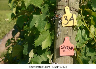 Closeup of markers on a post in a vineyard