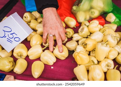 Close-up of a market stall selling fresh yellow bell peppers. A hand selects a pepper, showcasing the vibrant produce and local agriculture. Ideal for themes of fresh food, markets, and healthy eating - Powered by Shutterstock