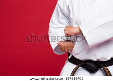 Close-up of martial arts master position