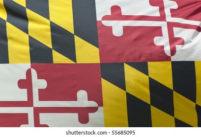 A close-up of the Maryland State Flag waving in the wind.