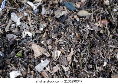 Closeup Of Material For Making Compost