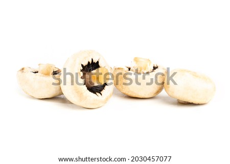 close-up of meadow mushroms against white background