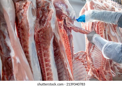 close-up of meat processing in the food industry, the worker cuts raw pig, storage in refrigerator, pork carcasses hanging on hooks in a meat factory - Powered by Shutterstock