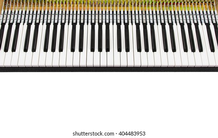 Piano Keyboard Diagram Piano Keyboard Layout Stock Vector (Royalty Free ...