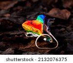 A closeup of a Medical Mask in Rainbow Colors thrown away in the forrest in Wendelsheim