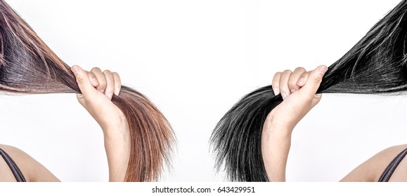 Close-up Of Messy Damaged Dry Hair And Gorgeous Hair Isolated On White Background