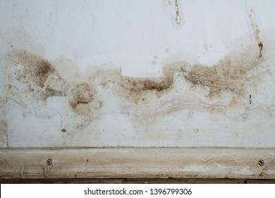 Closeup Of A Mold Wall With Fungus - Image