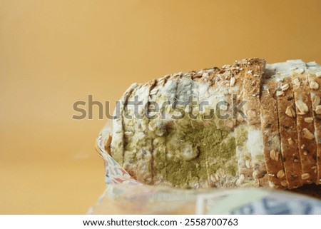 Close-Up of Mold-Infested Bread Slice on Orange Background