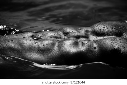 Closeup Monotone  Photo Of A Muscular Male Abdomen And Pecs Shining On Water