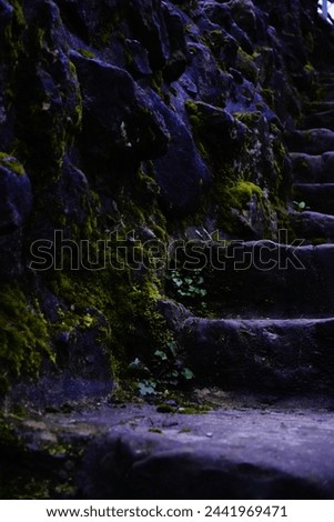 Close-up of a moss-covered staircase, castle in Tecklenburg
