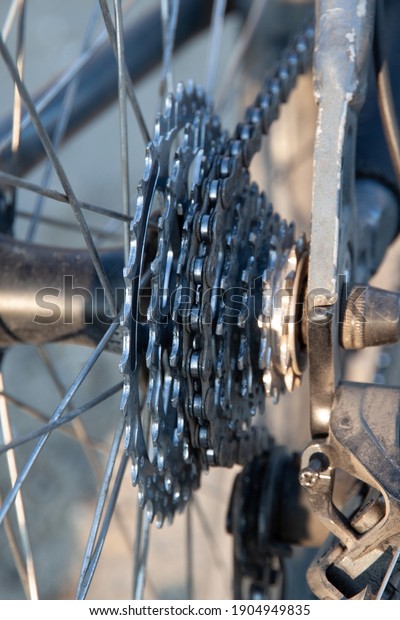 Close-up of a mountain bike cassette and chain.\
Bicycle transmission\
element