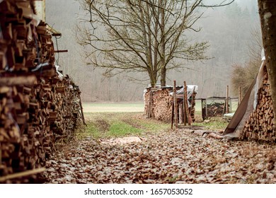 Close-up of multiple stack of woods on a field at a bare forest, in winter