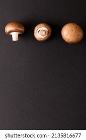 Close-up Of Mushrooms Arranged Side By Side On Black Background, Copy Space. Unaltered, Food, Studio Shot, Healthy Eating.