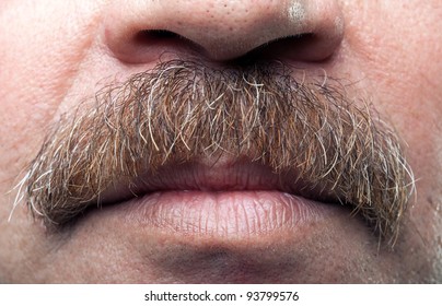 Closeup Mustaches And Closed Mouth Of Mature Caucasian Man