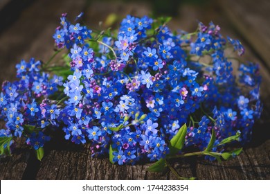 Closeup of Myosotis sylvatica, little blue Forget-me-not flowers on a blurred wooden background