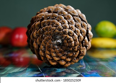 Closeup Of Natural Pine Cone Viewing Fibonacci Spirals Bilding Golden Ratio On Reflecting Table