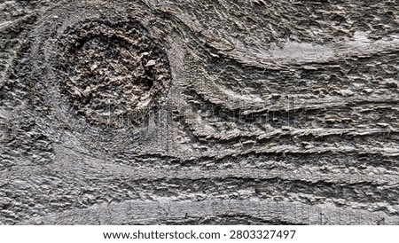 Close-Up of Natural Tree Bark Texture with Knot Pattern