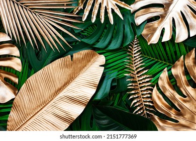 closeup nature view of gold and green tropical monstera and palm leaves. Creative nature pattern background.  Flat lay.