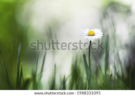 Similar – Image, Stock Photo On the way in the garden IV