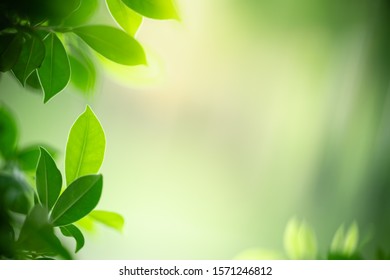 Featured image of post Nature A4 Background Images Feel free to download share comment and discuss every wallpaper you like