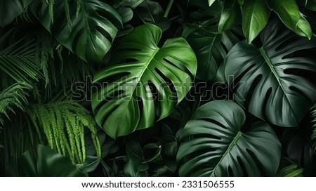 closeup nature view of green monstera leaf and palms, High quality photo