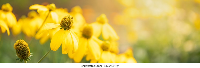 208 Gereen Stock Photos, Images & Photography | Shutterstock