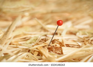 Closeup of a needle in haystack