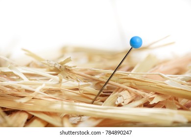 Closeup of a needle in haystack