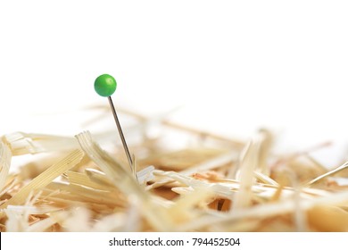 Closeup of a needle in haystack