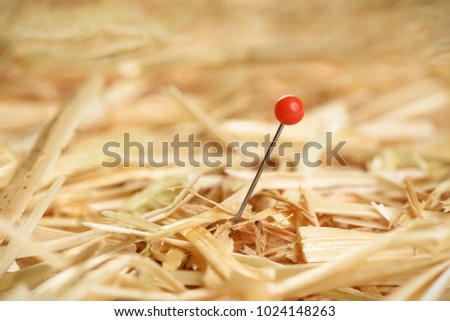 Closeup of a needle in haystack