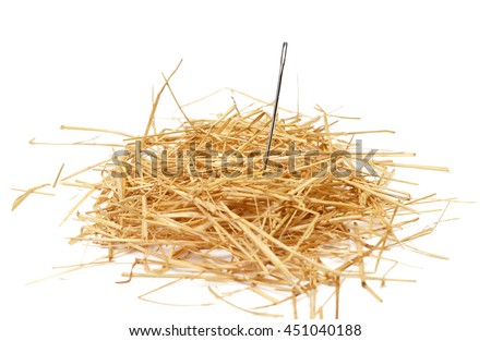 Closeup of a needle in haystack