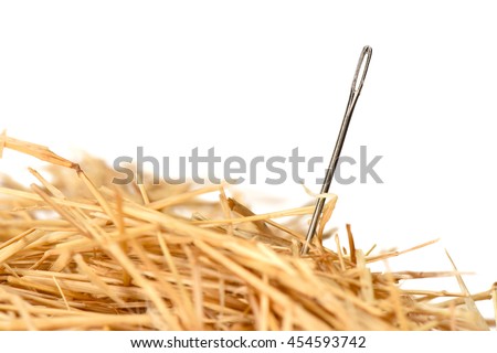 Closeup of a needle in haystack