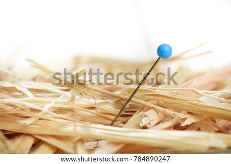 Closeup of a needle in haystack