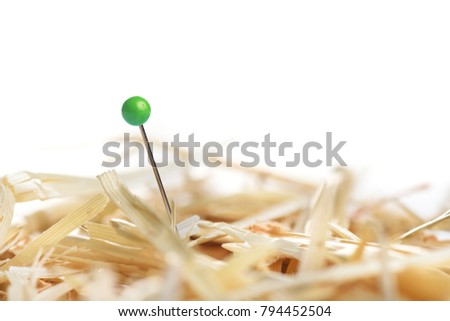 Closeup of a needle in haystack