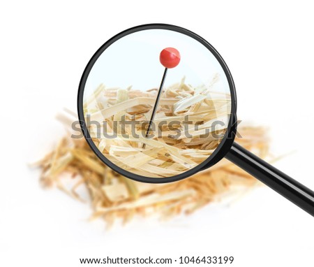 Closeup of a needle in haystack. Isolated on white background
